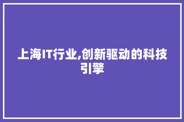 上海IT行业,创新驱动的科技引擎