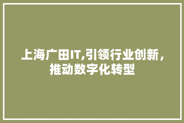 上海广田IT,引领行业创新，推动数字化转型 云服务