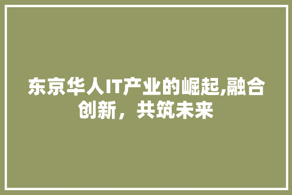 东京华人IT产业的崛起,融合创新，共筑未来