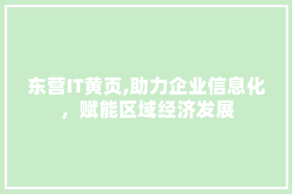 东营IT黄页,助力企业信息化，赋能区域经济发展