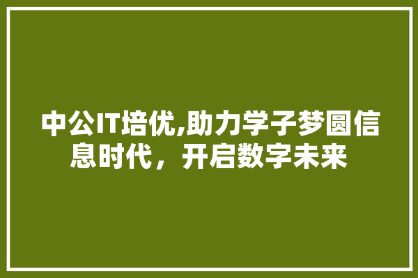 中公IT培优,助力学子梦圆信息时代，开启数字未来