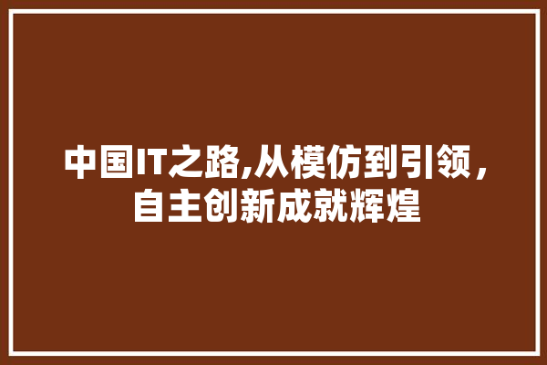 中国IT之路,从模仿到引领，自主创新成就辉煌 智能问答