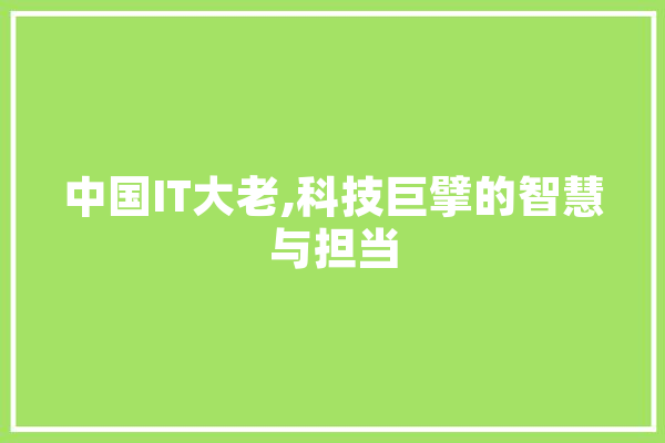 中国IT大老,科技巨擘的智慧与担当