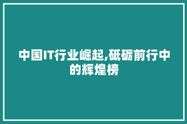 中国IT行业崛起,砥砺前行中的辉煌榜
