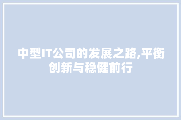 中型IT公司的发展之路,平衡创新与稳健前行 智能写作