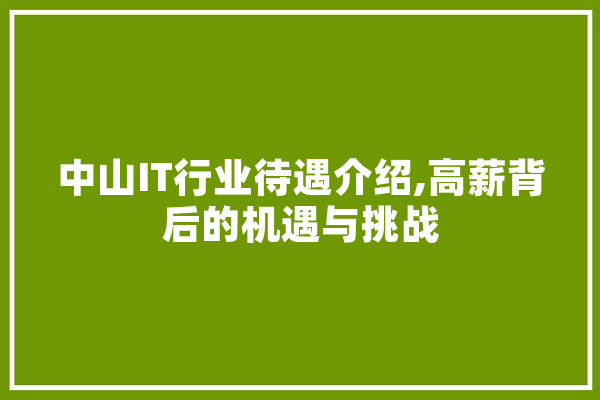 中山IT行业待遇介绍,高薪背后的机遇与挑战