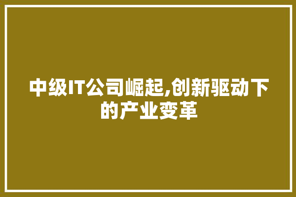 中级IT公司崛起,创新驱动下的产业变革 科技快讯