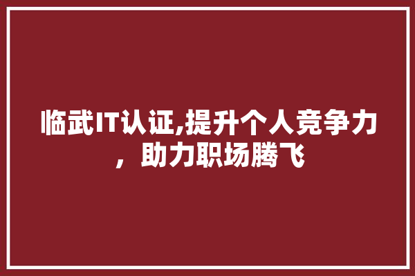 临武IT认证,提升个人竞争力，助力职场腾飞