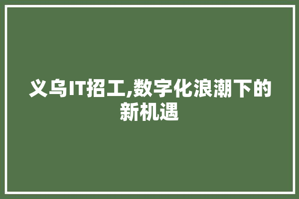 义乌IT招工,数字化浪潮下的新机遇