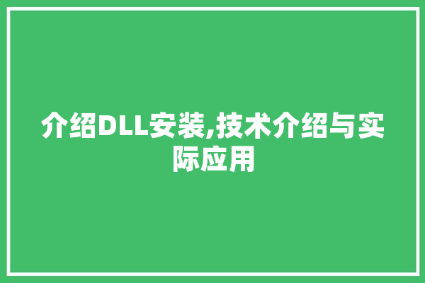 介绍DLL安装,技术介绍与实际应用