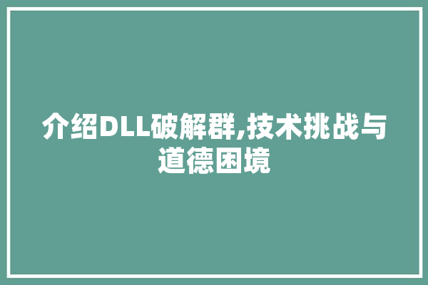 介绍DLL破解群,技术挑战与道德困境