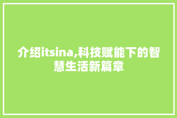 介绍itsina,科技赋能下的智慧生活新篇章