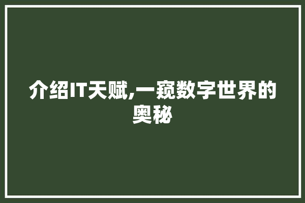 介绍IT天赋,一窥数字世界的奥秘
