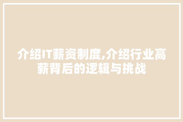 介绍IT薪资制度,介绍行业高薪背后的逻辑与挑战 AI简讯