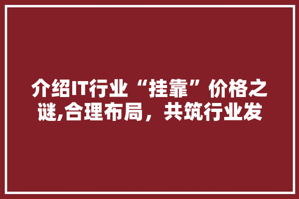 介绍IT行业“挂靠”价格之谜,合理布局，共筑行业发展新篇章 云服务