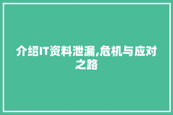 介绍IT资料泄漏,危机与应对之路