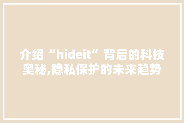 介绍“hideit”背后的科技奥秘,隐私保护的未来趋势 绘影字幕