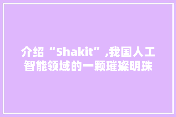 介绍“Shakit”,我国人工智能领域的一颗璀璨明珠
