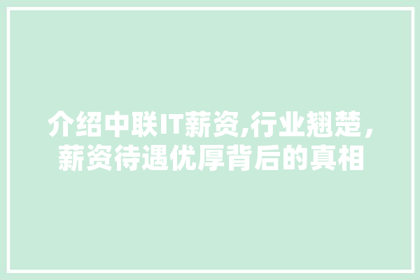 介绍中联IT薪资,行业翘楚，薪资待遇优厚背后的真相 文字写作