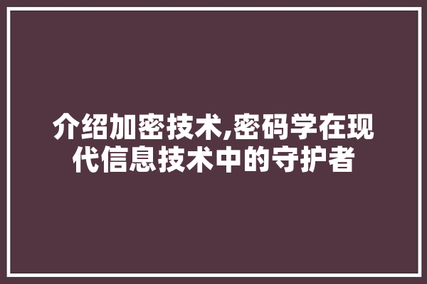 介绍加密技术,密码学在现代信息技术中的守护者 计算机