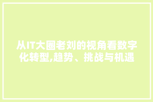 从IT大圈老刘的视角看数字化转型,趋势、挑战与机遇 AI简讯