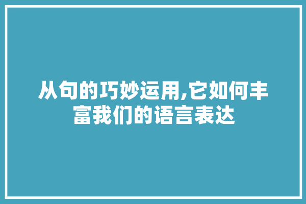 从句的巧妙运用,它如何丰富我们的语言表达