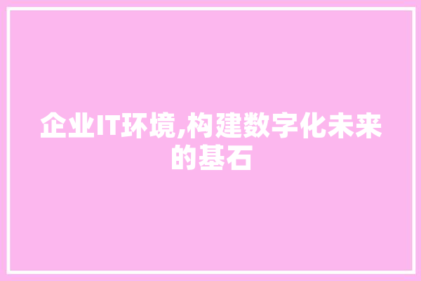 企业IT环境,构建数字化未来的基石