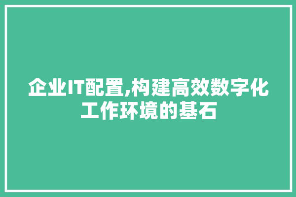 企业IT配置,构建高效数字化工作环境的基石