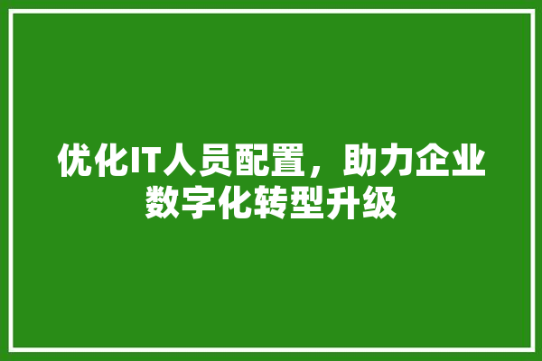 优化IT人员配置，助力企业数字化转型升级