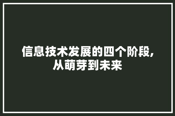 信息技术发展的四个阶段,从萌芽到未来 计算机
