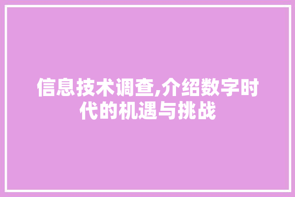信息技术调查,介绍数字时代的机遇与挑战 科技快讯