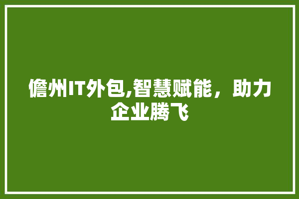 儋州IT外包,智慧赋能，助力企业腾飞