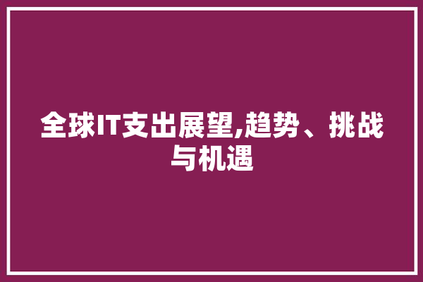 全球IT支出展望,趋势、挑战与机遇