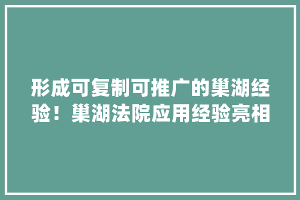 形成可复制可推广的巢湖经验！巢湖法院应用经验亮相安徽省刑事案件智能赞助办案系统应用推广培训班_刑事案件_巢湖