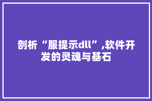 剖析“服提示dll”,软件开发的灵魂与基石