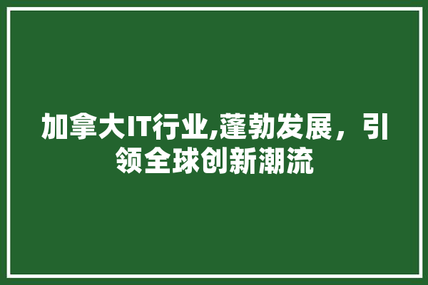 加拿大IT行业,蓬勃发展，引领全球创新潮流
