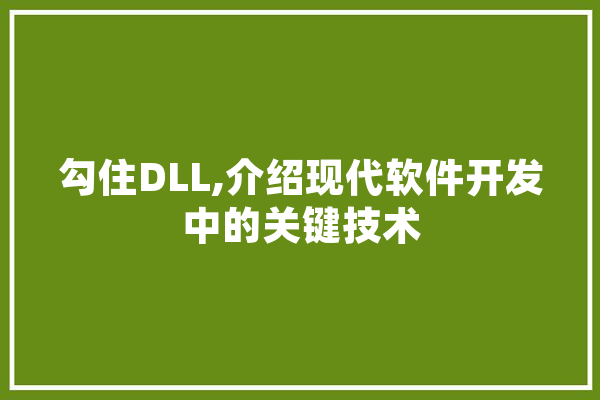 勾住DLL,介绍现代软件开发中的关键技术 AI简讯
