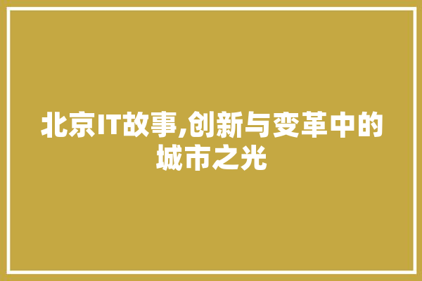 北京IT故事,创新与变革中的城市之光 智能写作