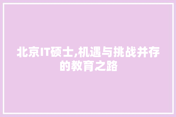 北京IT硕士,机遇与挑战并存的教育之路