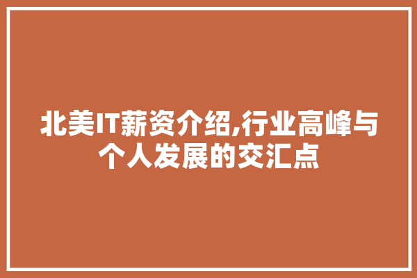 北美IT薪资介绍,行业高峰与个人发展的交汇点
