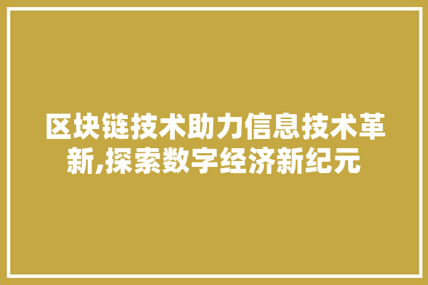 区块链技术助力信息技术革新,探索数字经济新纪元