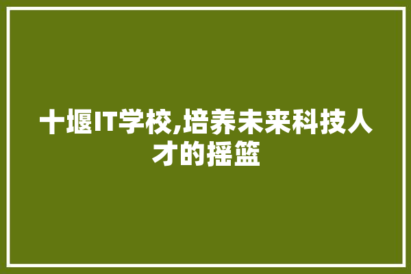 十堰IT学校,培养未来科技人才的摇篮
