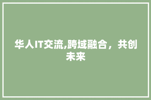 华人IT交流,跨域融合，共创未来