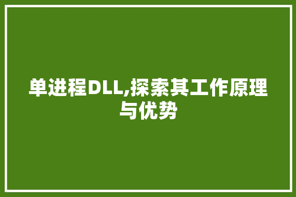 单进程DLL,探索其工作原理与优势 智能写作