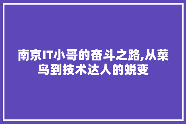 南京IT小哥的奋斗之路,从菜鸟到技术达人的蜕变