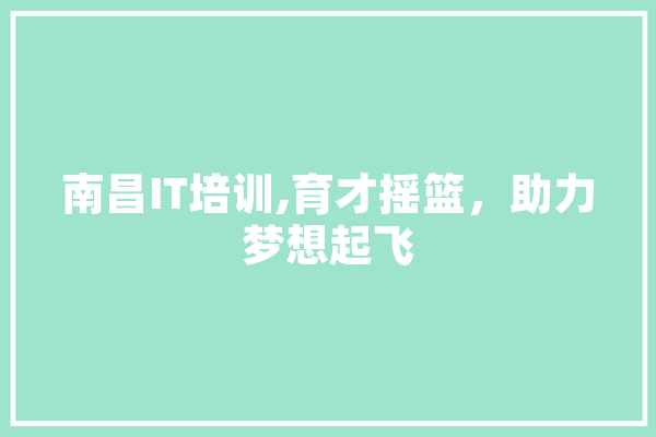 南昌IT培训,育才摇篮，助力梦想起飞