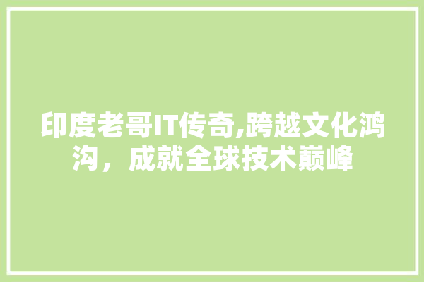 印度老哥IT传奇,跨越文化鸿沟，成就全球技术巅峰