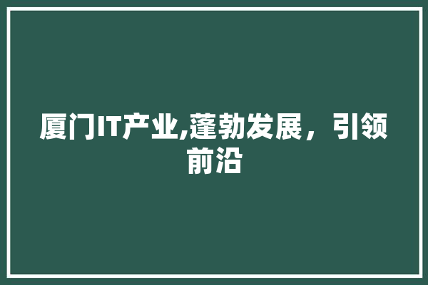 厦门IT产业,蓬勃发展，引领前沿