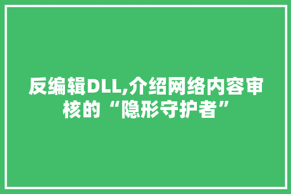 反编辑DLL,介绍网络内容审核的“隐形守护者”
