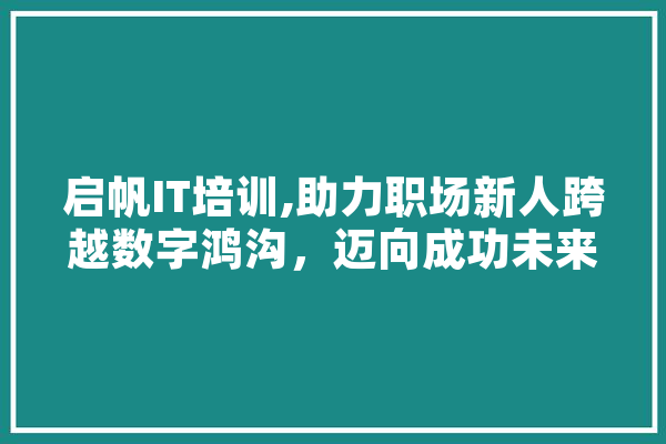 启帆IT培训,助力职场新人跨越数字鸿沟，迈向成功未来